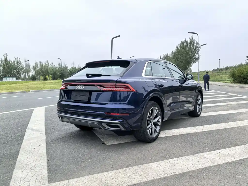 Audi Q8 55 TFSI Select Dynamic