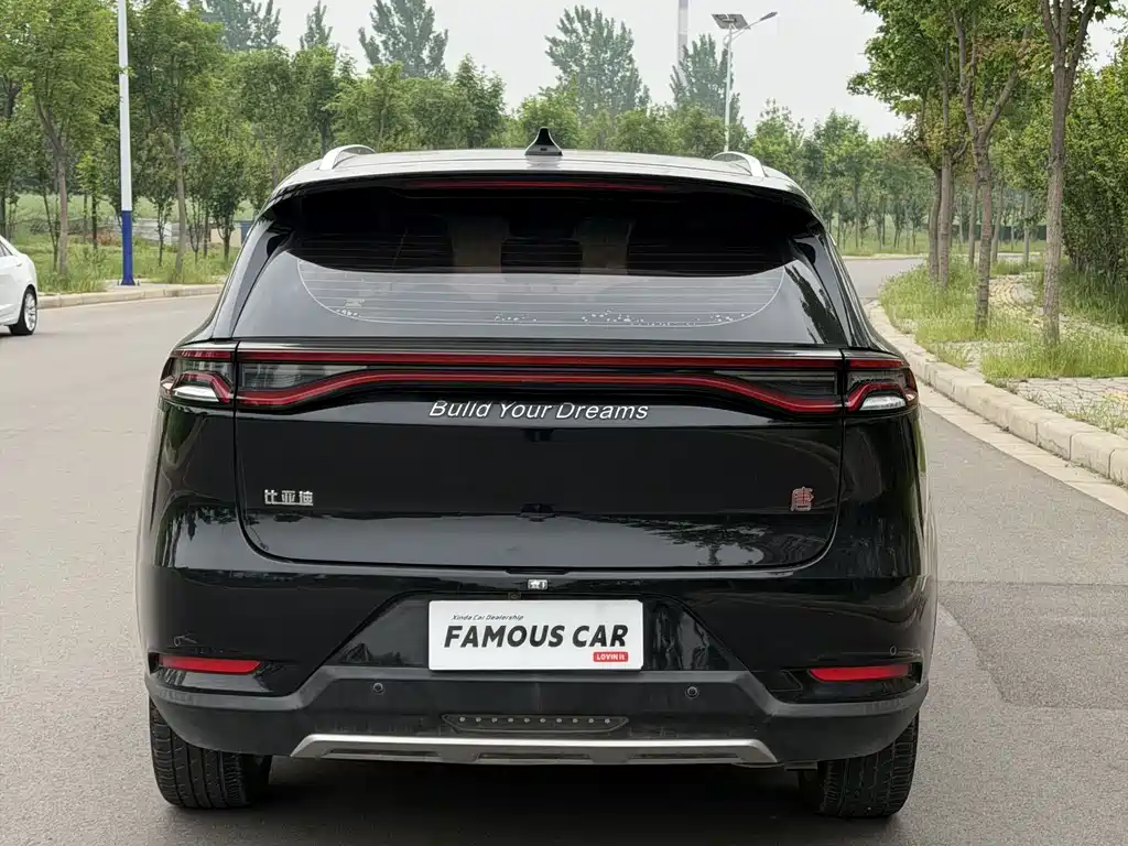 Tang 2.0 T Auto Connected Distinguished 5-seat CN-VI