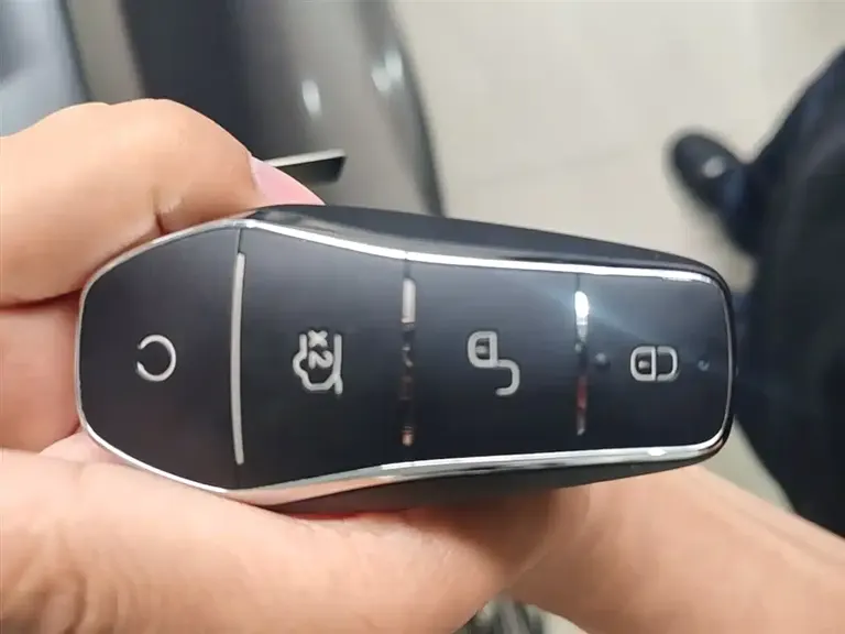 BYD Song PLUS NEV Champion DM-i 110 KM Flagship PLUS