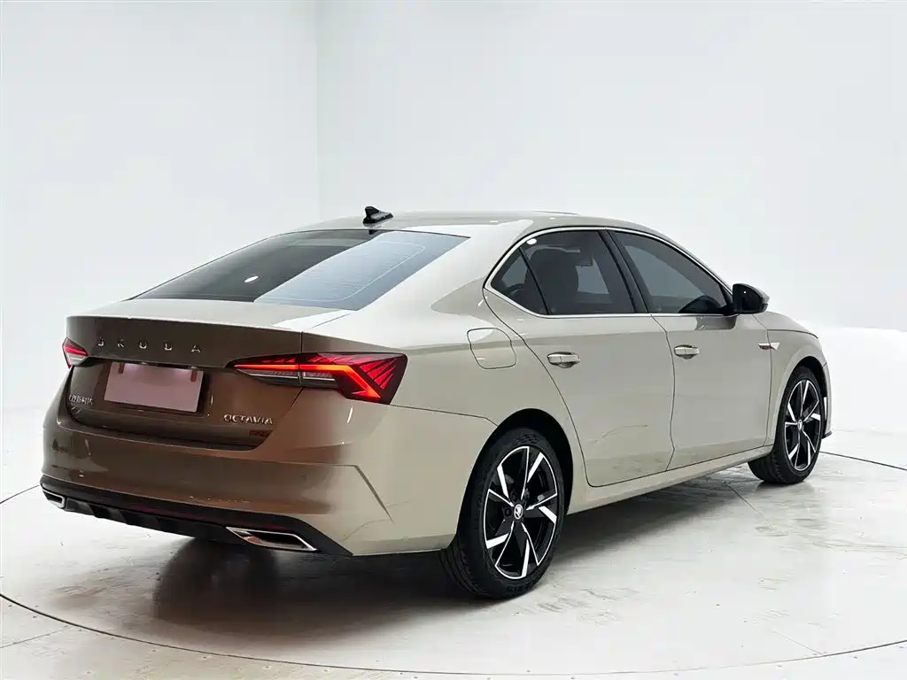 Octavia PRO TSI280 DSG Luxury