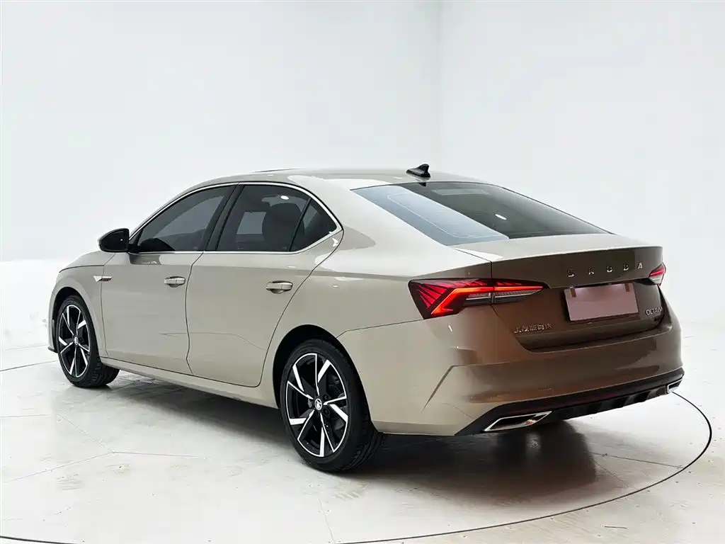 Octavia PRO TSI280 DSG Luxury