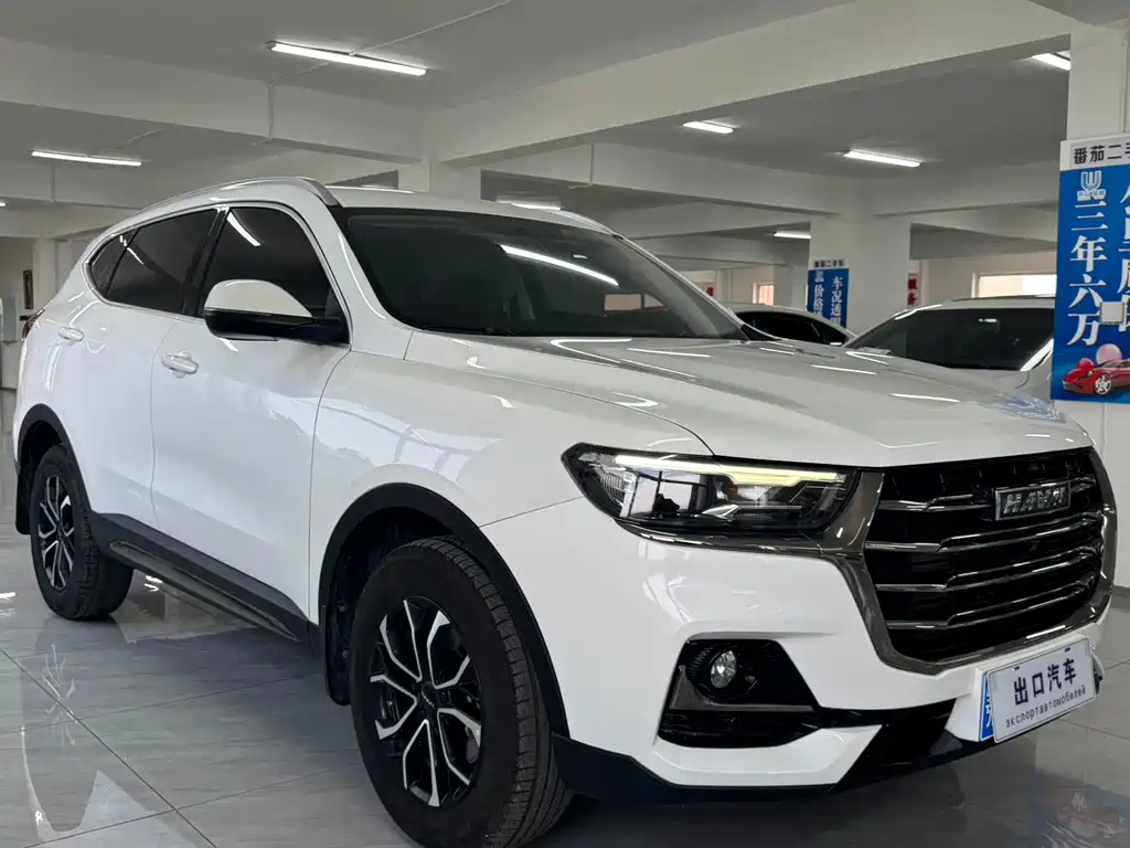 Haval H6 China Style 1.5 T Auto Urban