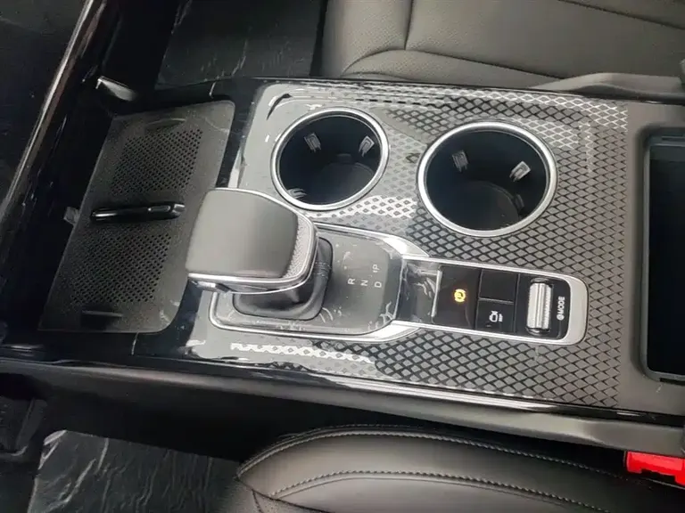 Hongqi HS3 PHEV 117 km Power Action