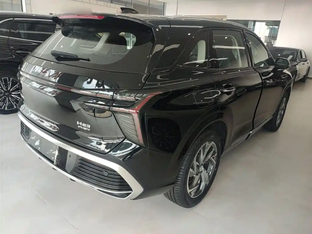 Hongqi HS3 PHEV 117 km Power Action