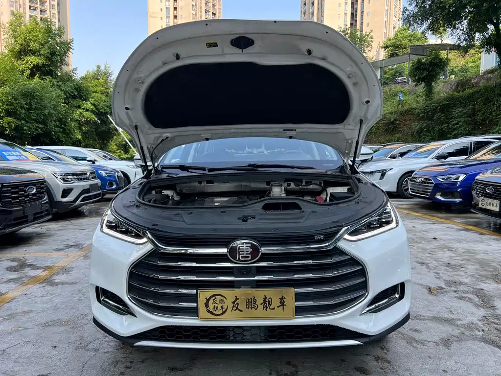 Tang 2.0 T Auto Connected Distinguished 7-seat CN-V
