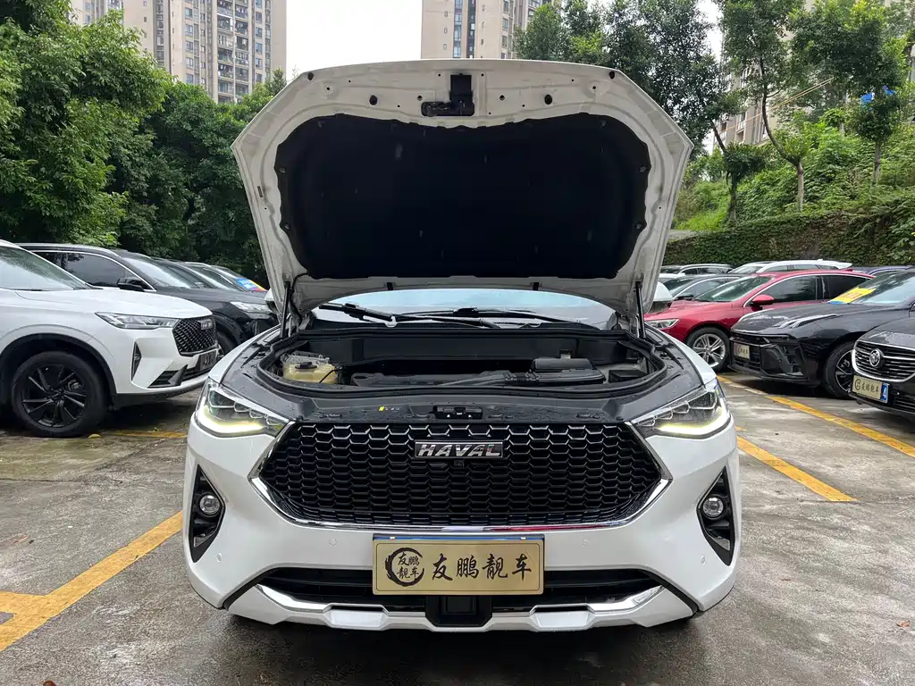 Haval F7 2.0 T 4 WD i Joy CN-VI