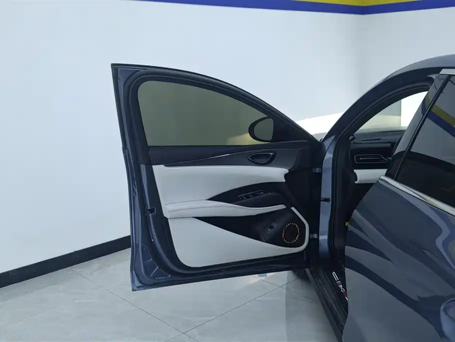 Seal 06 DM-i 80 KM Distinguished
