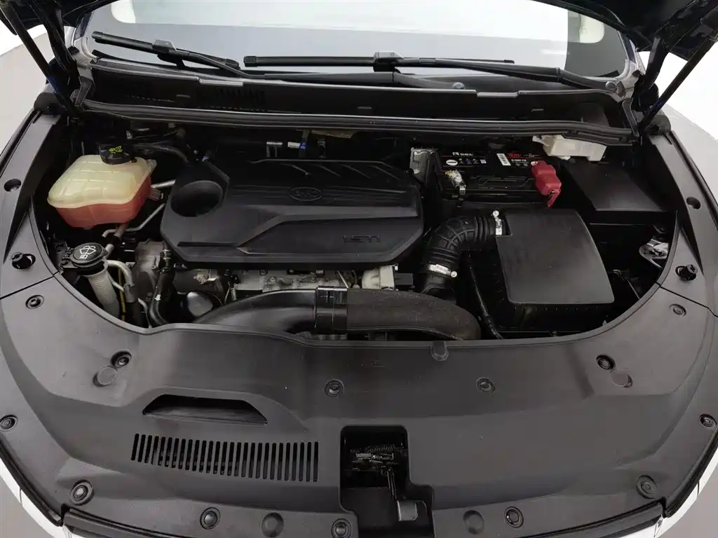 Song MAX Upgraded 1.5 T Auto Flagship 6-seat
