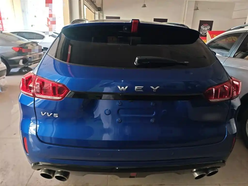 WEY VV5 2.0 T Super Luxury