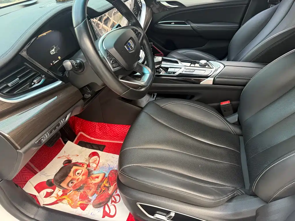 Borui 1.5 T MHEV Shine Enjoyment