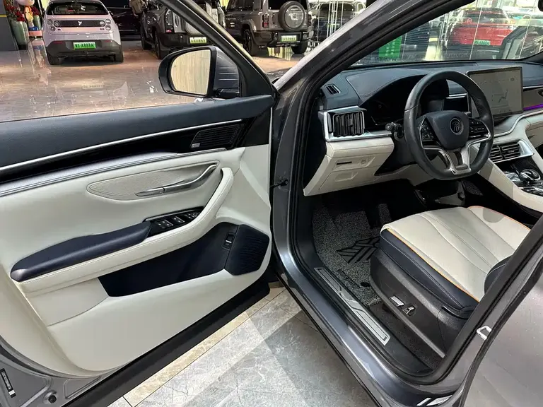 BYD Song PLUS NEV DM-i 110 KM Flagship PLUS