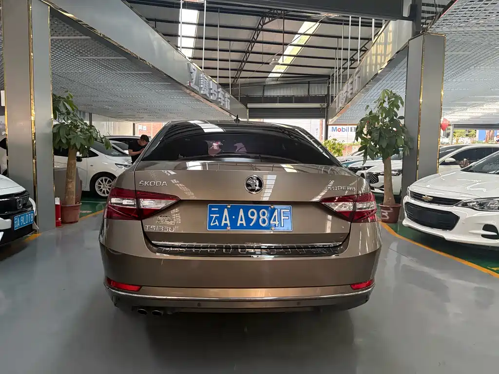 Superb TSI330 DSG Smart Travel