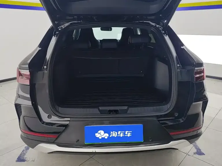 BYD Song PLUS NEV DM-i 110 KM Flagship PLUS