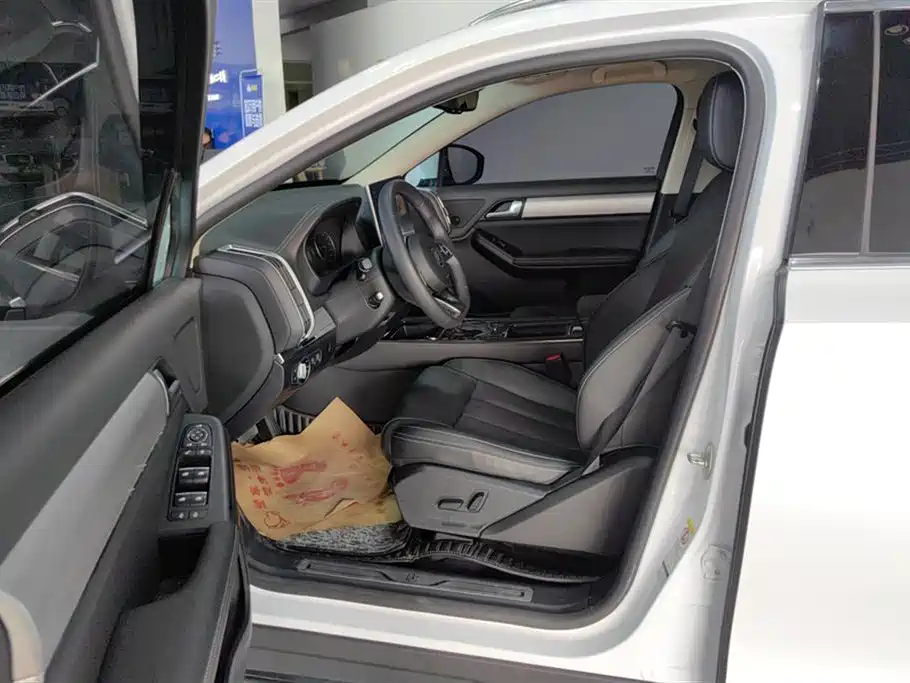 Tang 2.0 T Auto Connected Distinguished 7-seat CN-VI