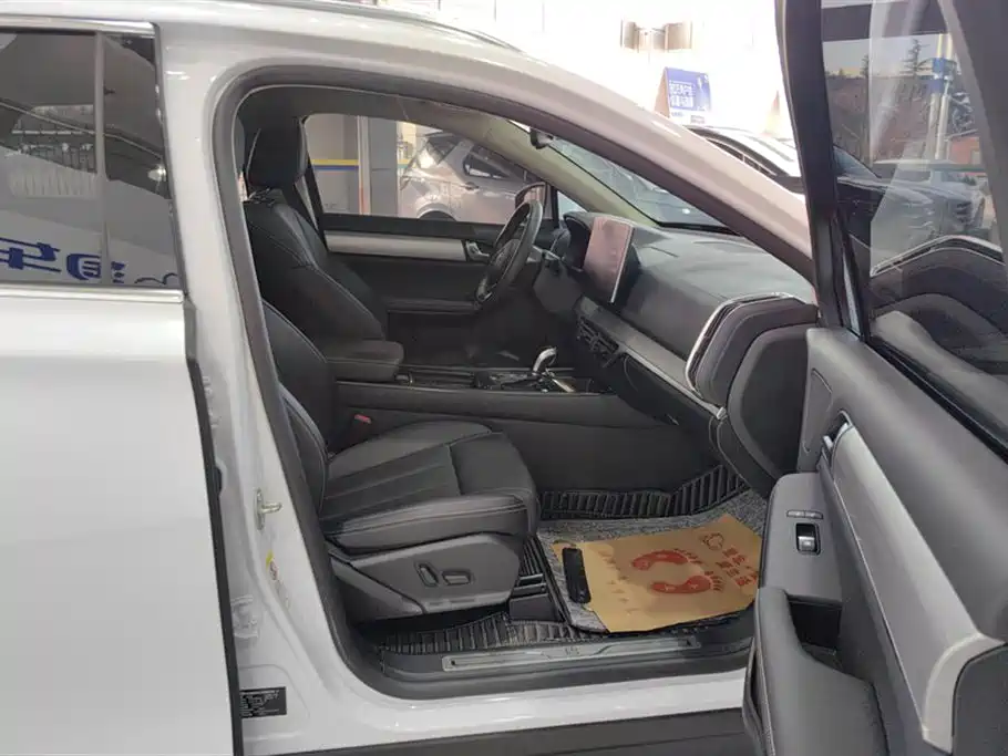 Tang 2.0 T Auto Connected Distinguished 7-seat CN-VI