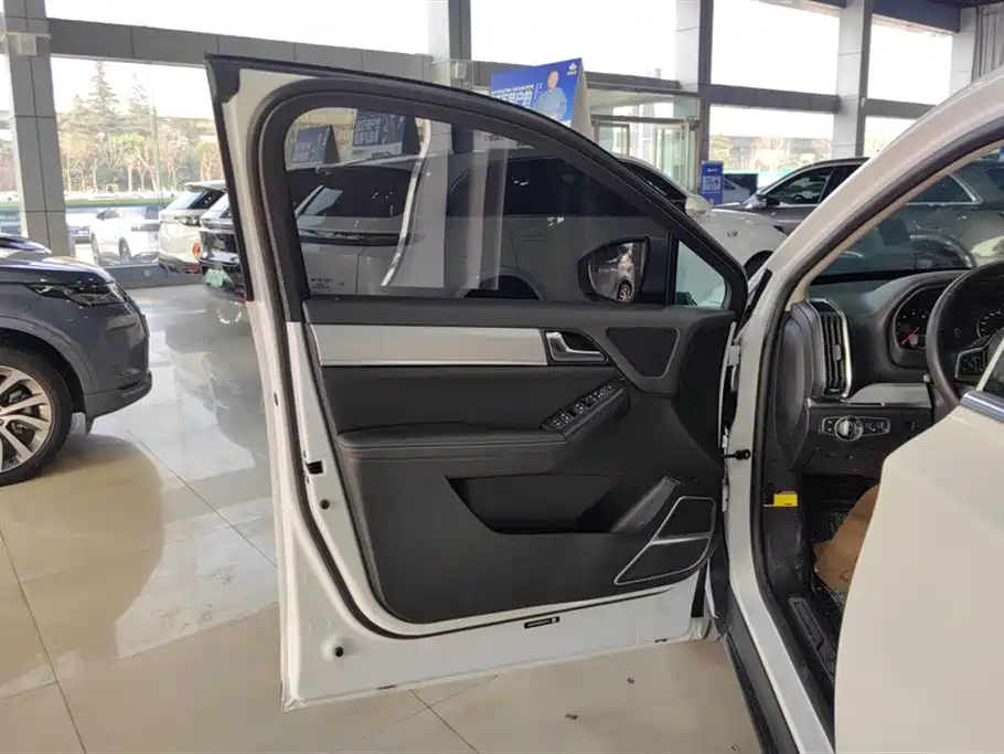 Tang 2.0 T Auto Connected Distinguished 7-seat CN-VI