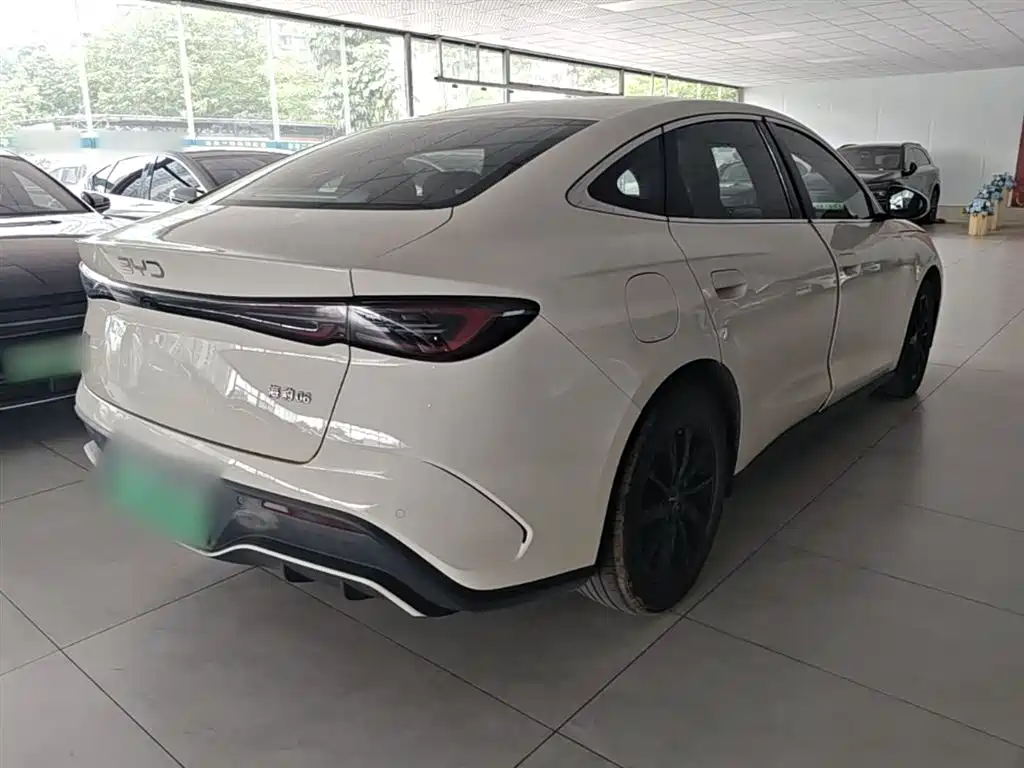 Seal 06 DM-i 80 KM Distinguished