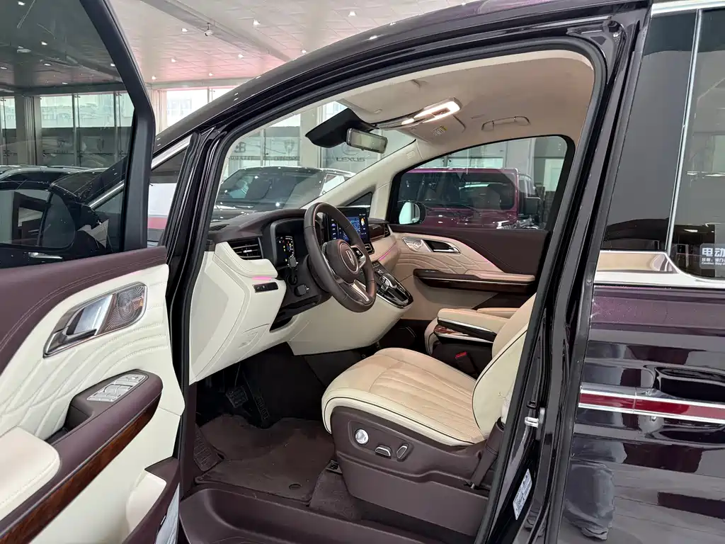 Hongqi HQ9 2.0 T Connected Flagship Leading