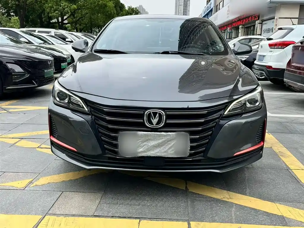 Ruicheng CC Blue Whale 1.5 T DCT Luxury