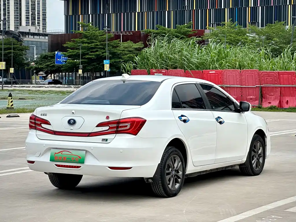 Qin NEV 1.5 T Distinguished