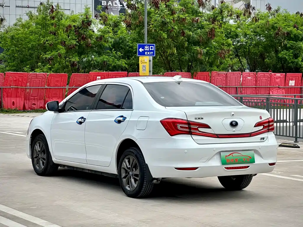 Qin NEV 1.5 T Distinguished