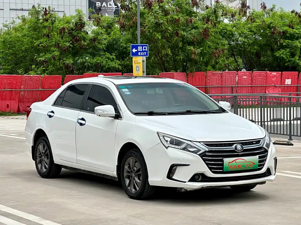 Qin NEV 1.5 T Distinguished