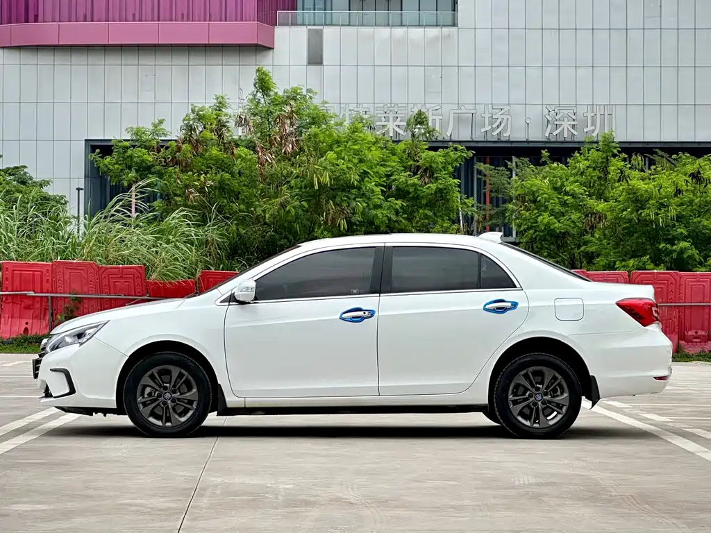 Qin NEV 1.5 T Distinguished