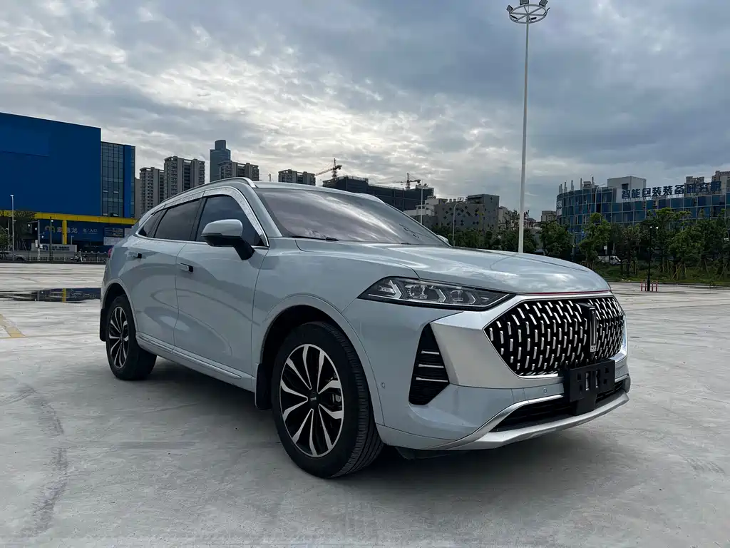 WEY Mocha 2.0 T 2 WD Pure