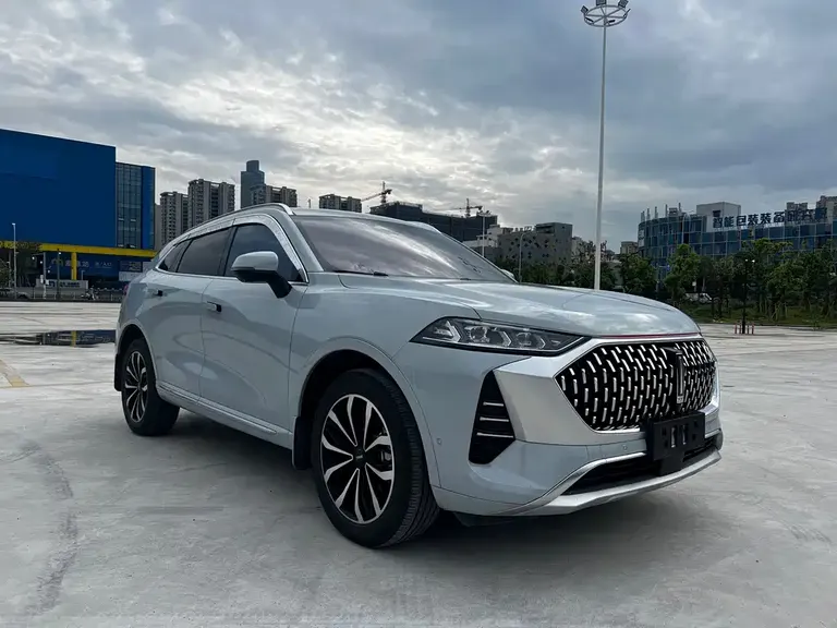 WEY Mocha 2.0 T 2 WD Pure