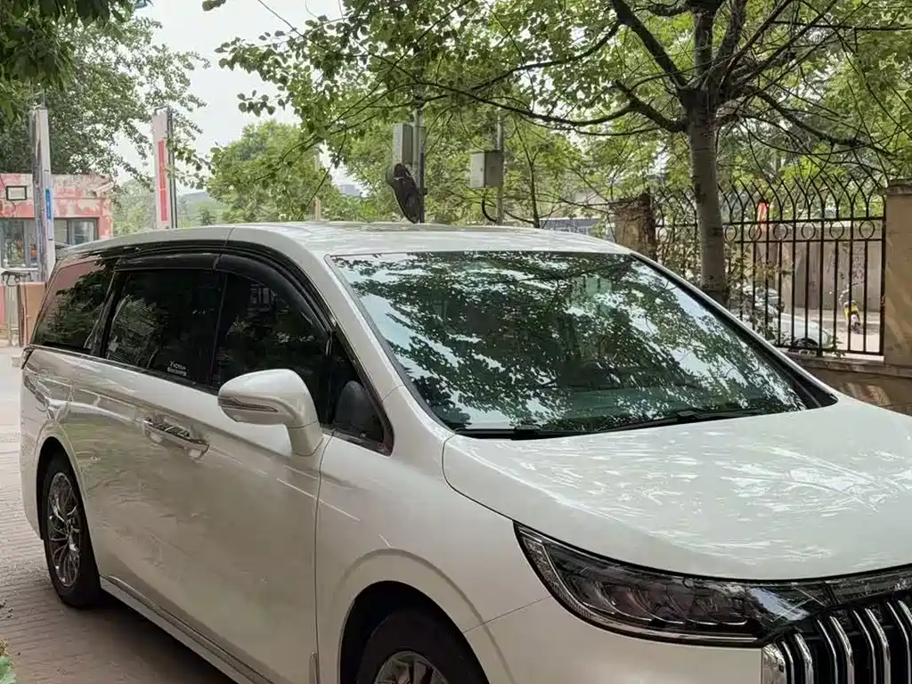 Voyah Dreamer Low Carbon Dream + Smart Enjoyment Package