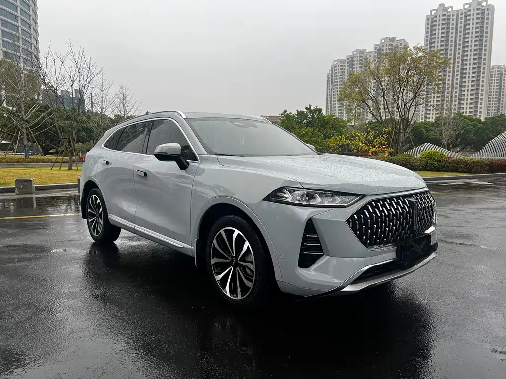 WEY Mocha 2.0 T 4 WD Pure