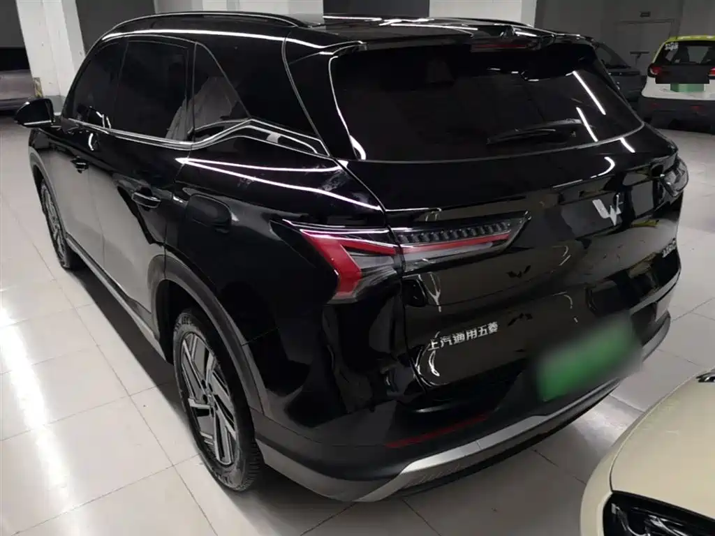 Wuling Starlight S 130 km Flagship