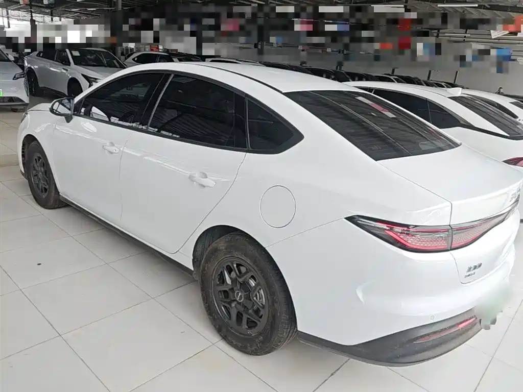 Seal 05 DM-i DM-i Smart Drive 55 KM Luxury