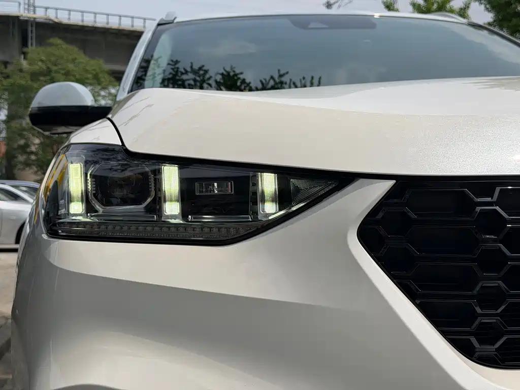 WEY VV6 2.0 T 2 WD Super Luxury CN-V