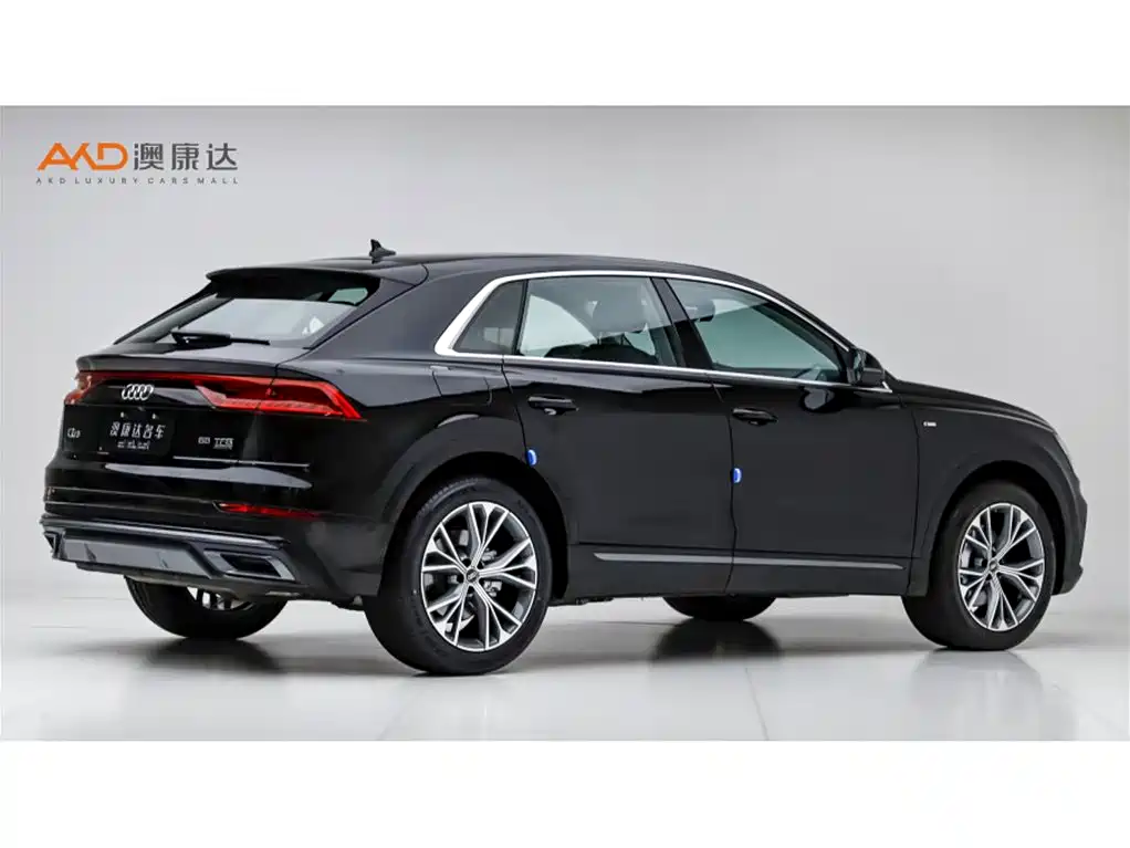 Audi Q8 奥迪Q8/3.0 T/23款/55 TFSI 豪华动感型