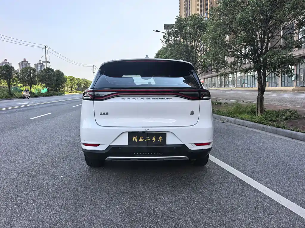 Tang 2.0 T Auto Flagship