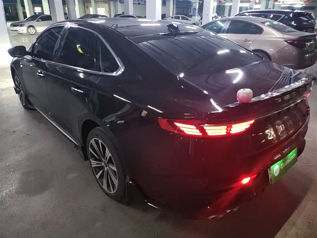 Xingrui Oriental Shine 2.0 TD Star Embrace