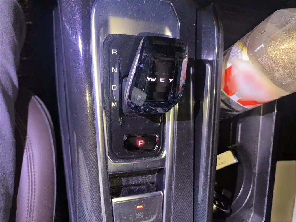WEY Mocha 2.0 T 2 WD Pure