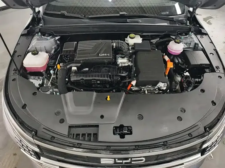 BYD Destroyer 05 Glory DM-i 55 KM Luxury