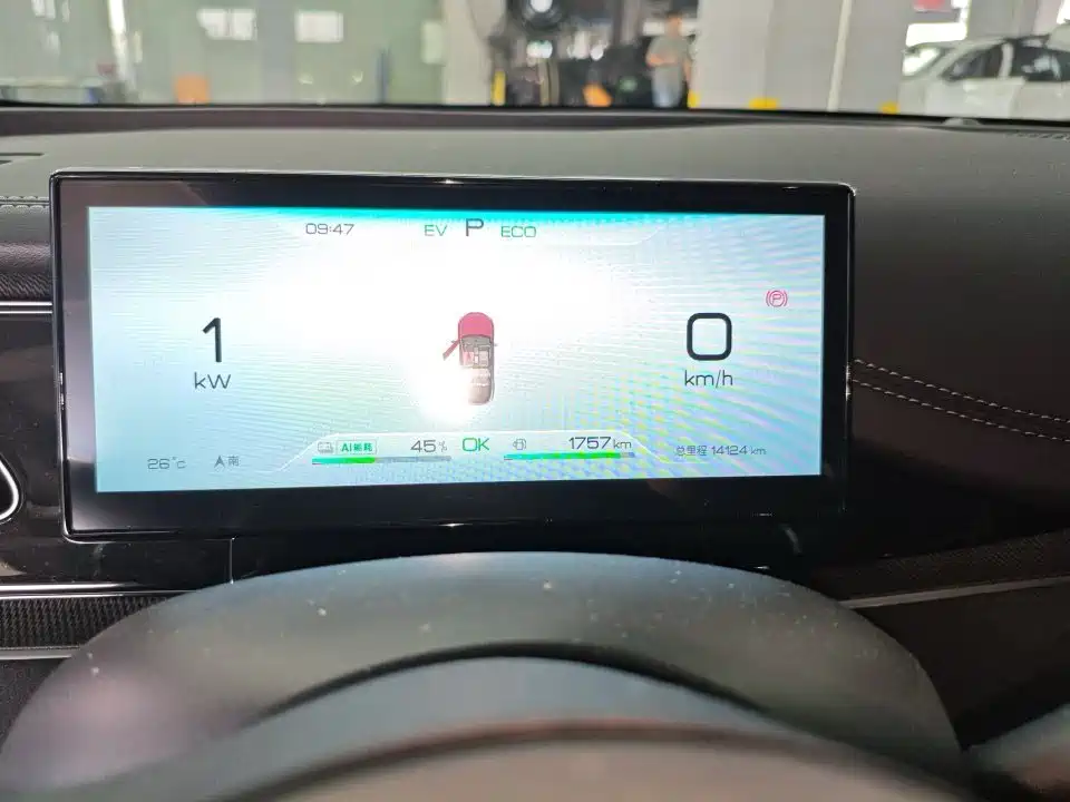 Seal 06 DM-i 80 KM Distinguished