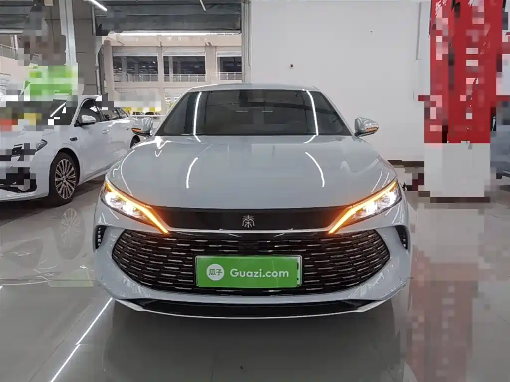 Qin L DM-i 80 KM Transcend