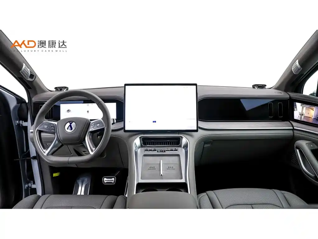 Denza N9 腾势N9/2.0 T/25款/旗舰版