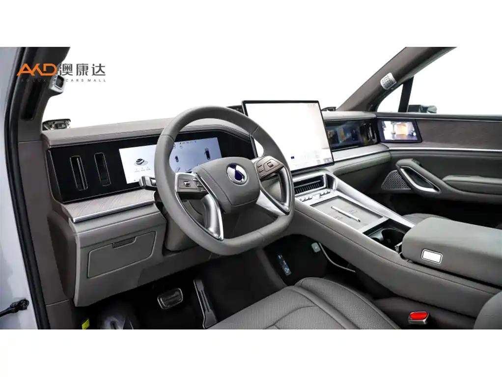 Denza N9 腾势N9/2.0 T/25款/旗舰版