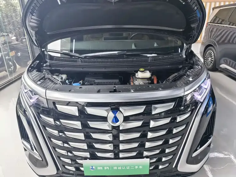 Denza D9 DM-i 980 4 WD Flagship