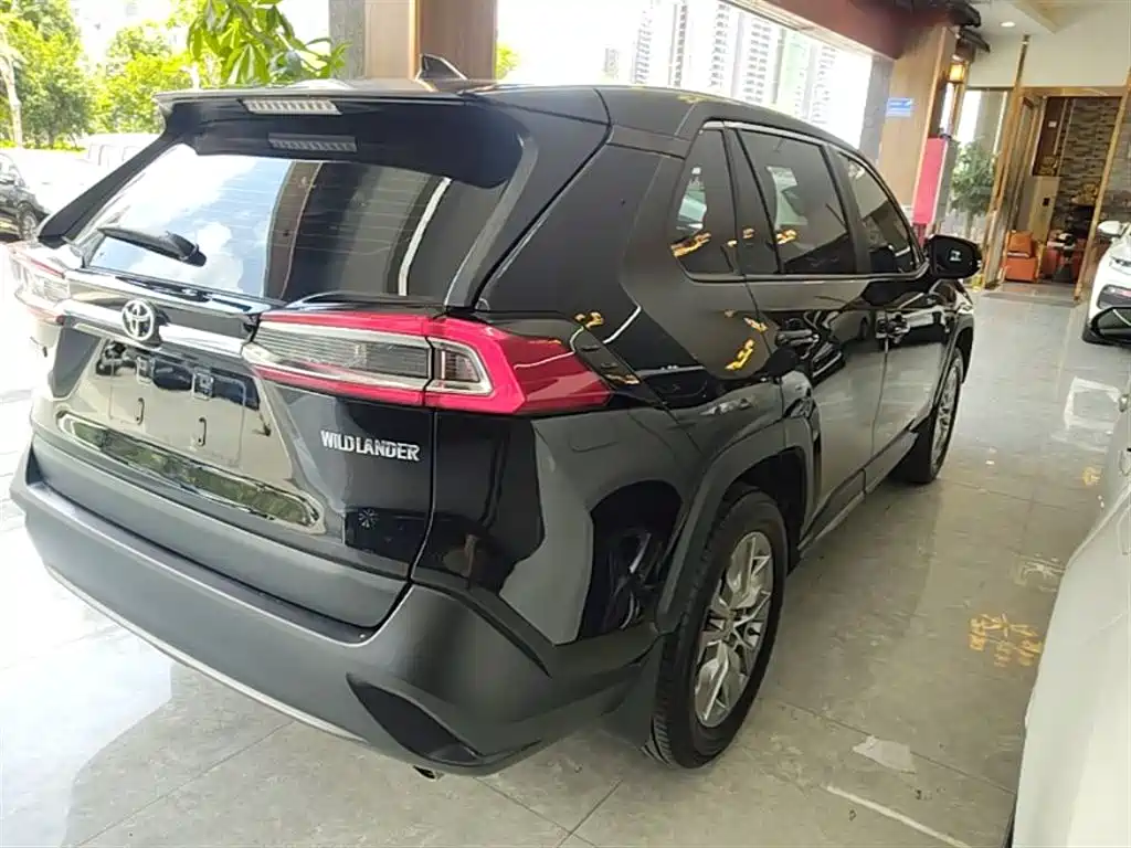 Wildlander 2.0 L CVT 2 WD Leading