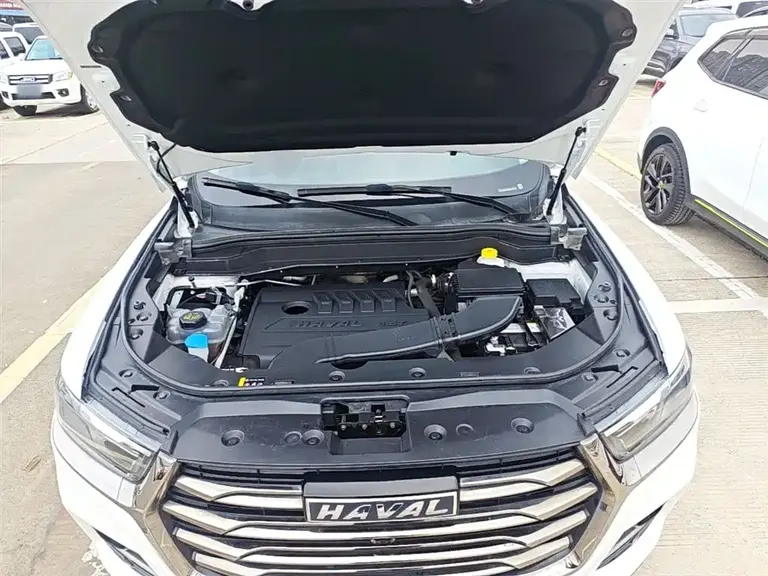 Haval H6 China Style 1.5 T Auto Urban