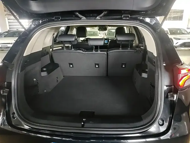 BYD Tang 唐 2019款 2.0 T 自动智联尊驭型 5座 国VI