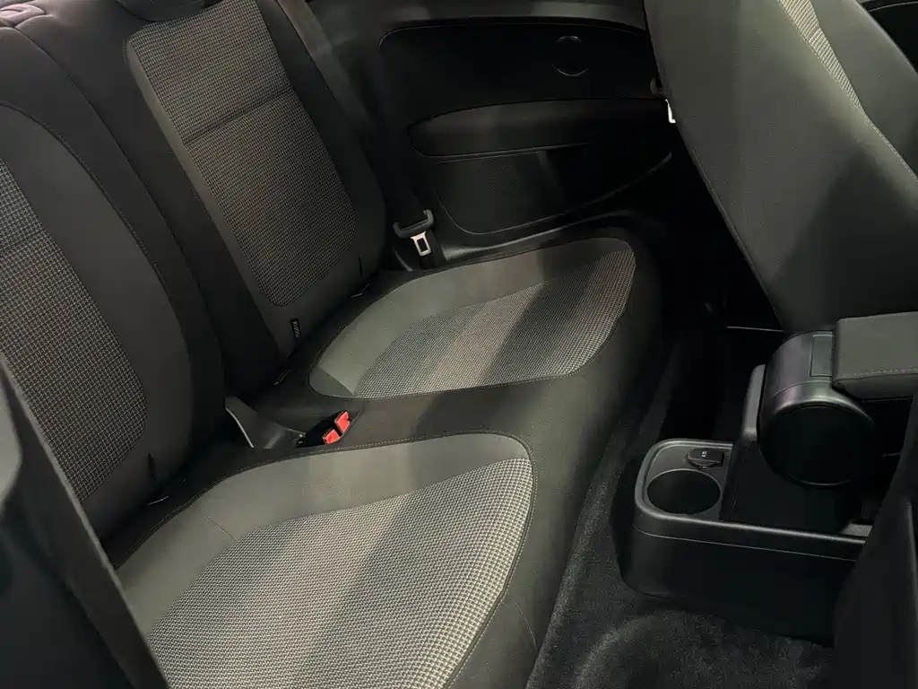 Beetle 甲壳虫 2016款 180 TSI 沙丘越野版
