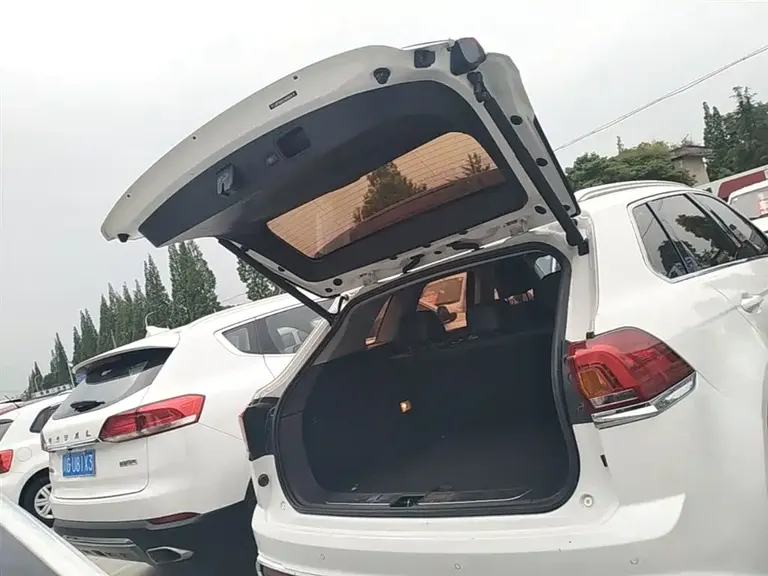 Zotye Damai X7 大迈X7 2018款 2.0 T 自动尊贵型