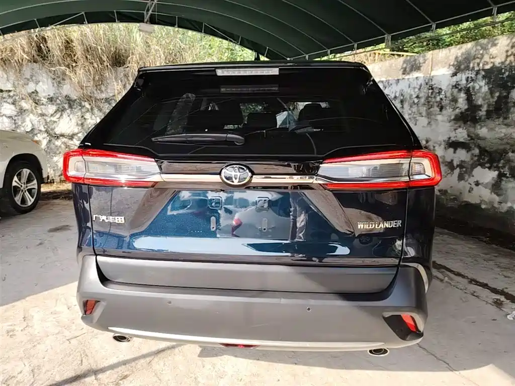 Wildlander 2.0 L CVT 2 WD Luxury PLUS